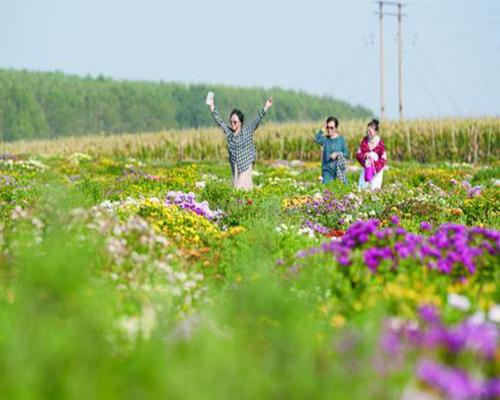 多元融合激活鄉(xiāng)村振興“一池春水”